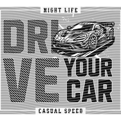 Car-CA 344
